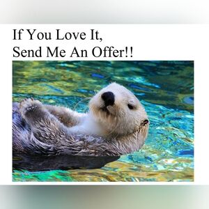 See something you love, send me an offer!